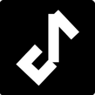 Metrolist播放器app