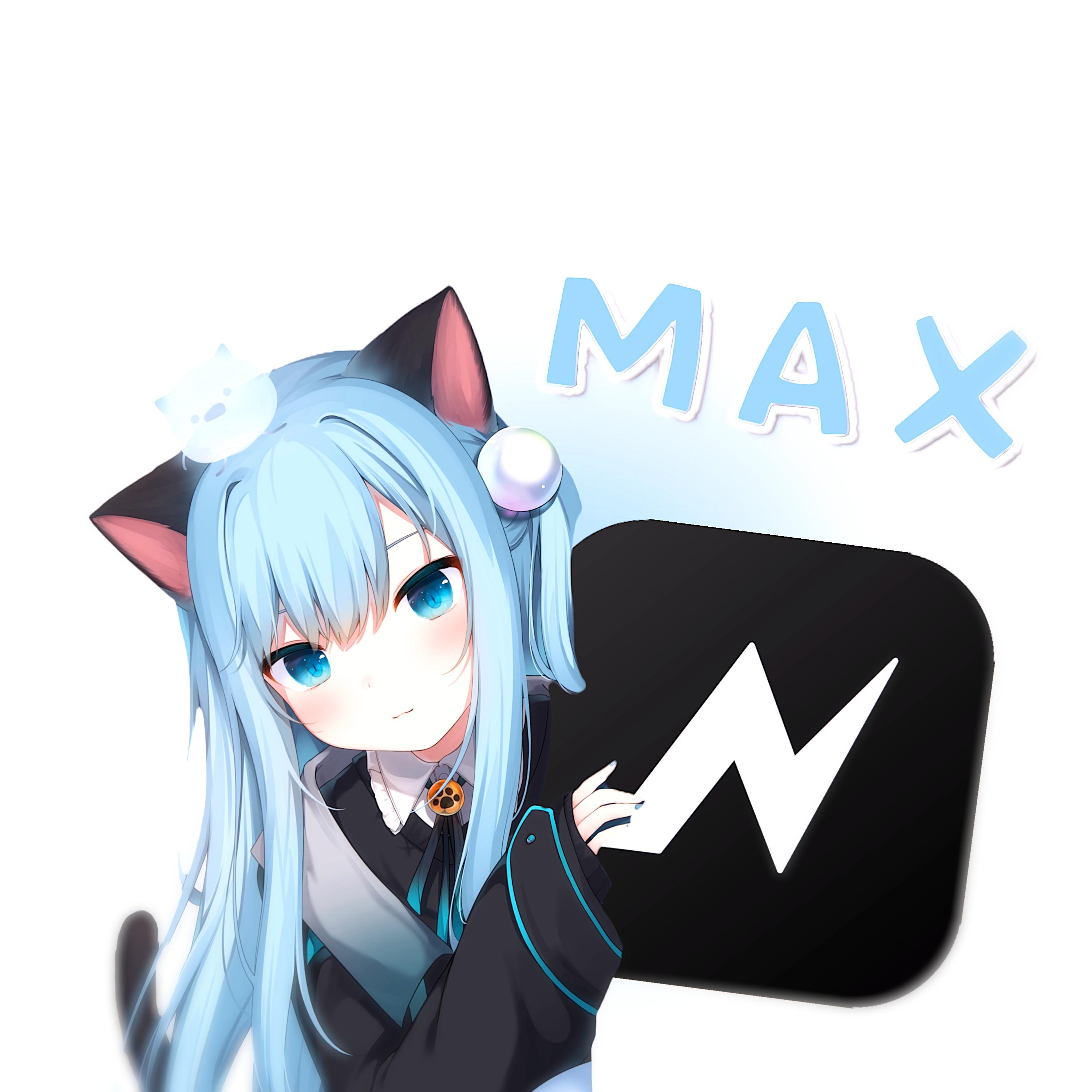 NV MAX软件