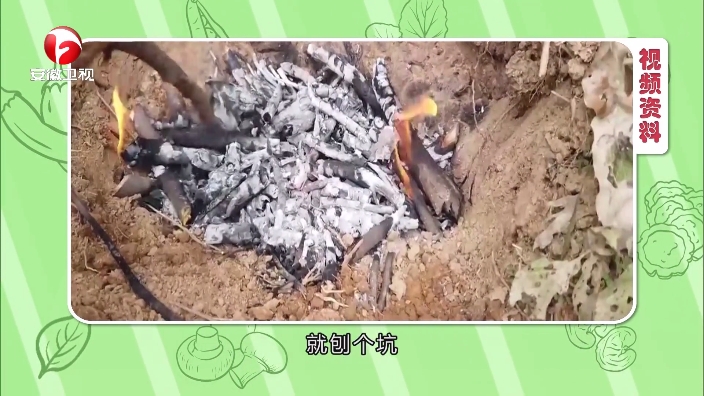 小飞电视app最新版下载v2.7.0 安卓版