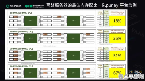 2025全球首发深度追踪»星空服务器架构性能对比评测