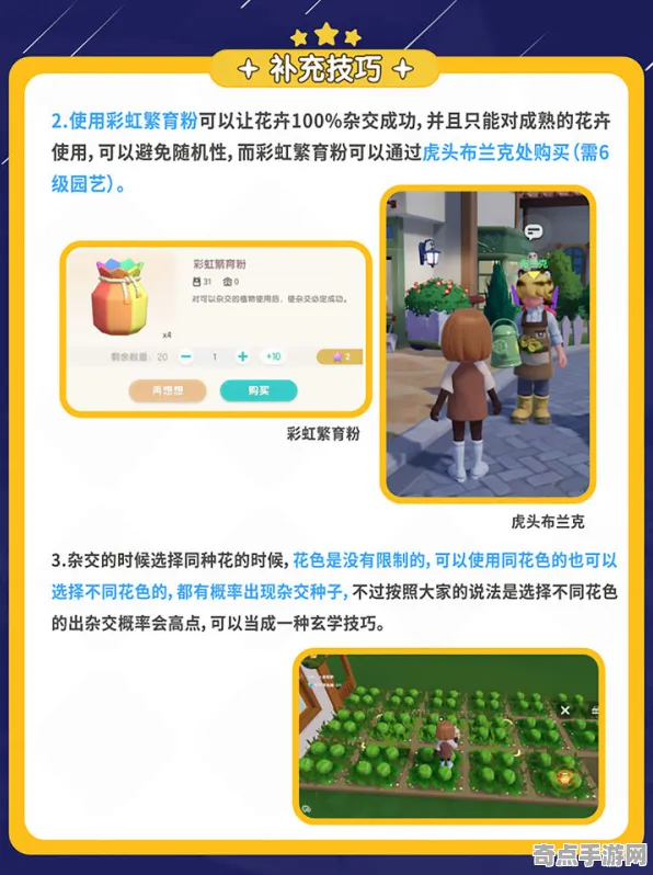 2025最新动态»农场小镇赛季机制解读，优化方案揭秘速看！