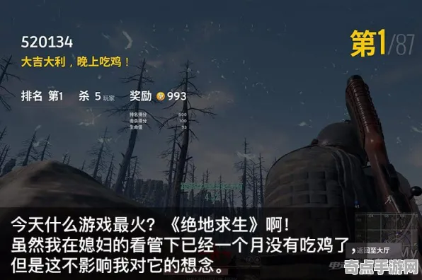 《绝地求生》2025AI突破！动态难度调整实测数据曝光