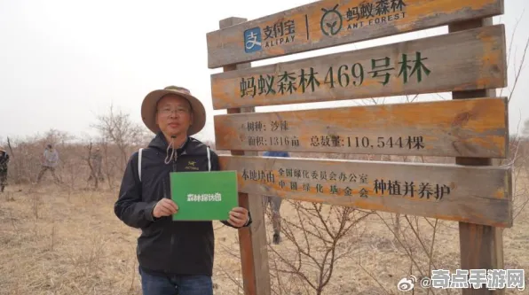 2025GDC直击深度追踪»蚂蚁森林物理引擎升级开发者专访