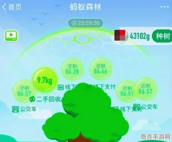2025发售日确认深度追踪»蚂蚁森林配置需求公布优化方案揭秘