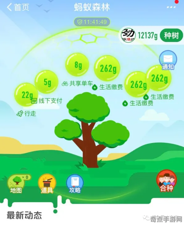 2025发售日确认深度追踪»蚂蚁森林配置需求公布优化方案揭秘