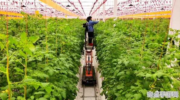2025硬件革命深度追踪»农场小镇操作精度提升深度技术解析