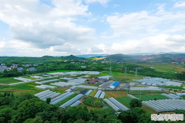 2025硬件革命深度追踪»农场小镇操作精度提升深度技术解析