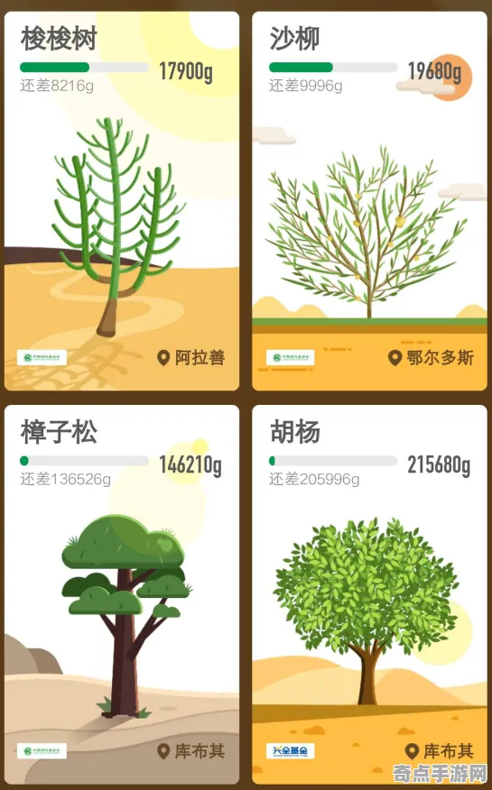 2025全球首发深度追踪»蚂蚁森林独占内容解析性能对比评测