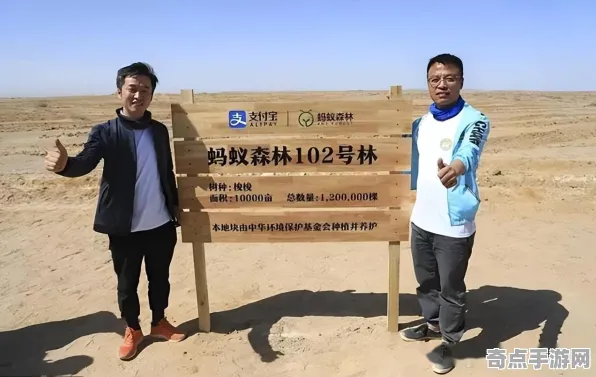 2025发售日确认深度追踪»蚂蚁森林配置需求公布深度技术解析