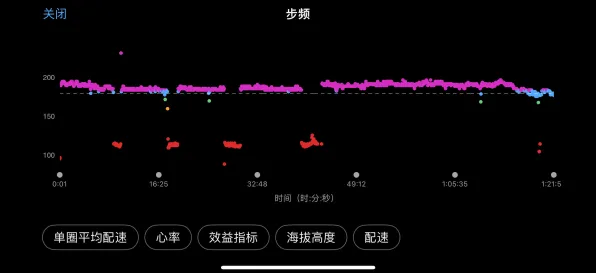 2025最新动态»蚂蚁森林帧率突破，玩家实测报告速看！