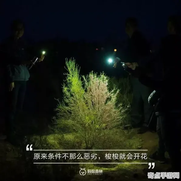 2025最新动态»蚂蚁森林实时全局光照，开发者专访速看！