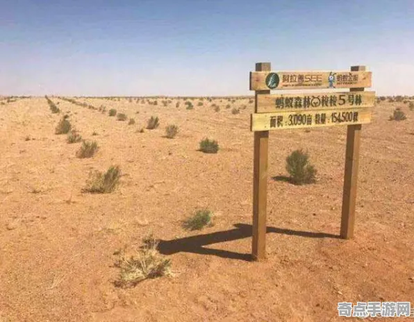 2025最新动态»蚂蚁森林实时全局光照，开发者专访速看！
