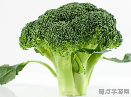 2025游戏GDC直击丨球球冲刺如何实现实时全局光照？硬件兼容报告