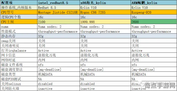 《羊了个羊》2025全球首发！服务器架构性能对比评测