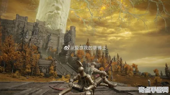 2025最新动态»艾尔登法环预购特典曝光，玩家实测报告速看！
