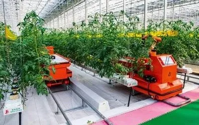 2025GDC直击»农场小镇丨物理引擎升级，独家内幕消息