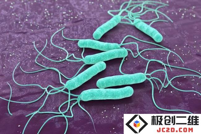 实锤：幽门螺杆菌是中国胃癌最大祸根？