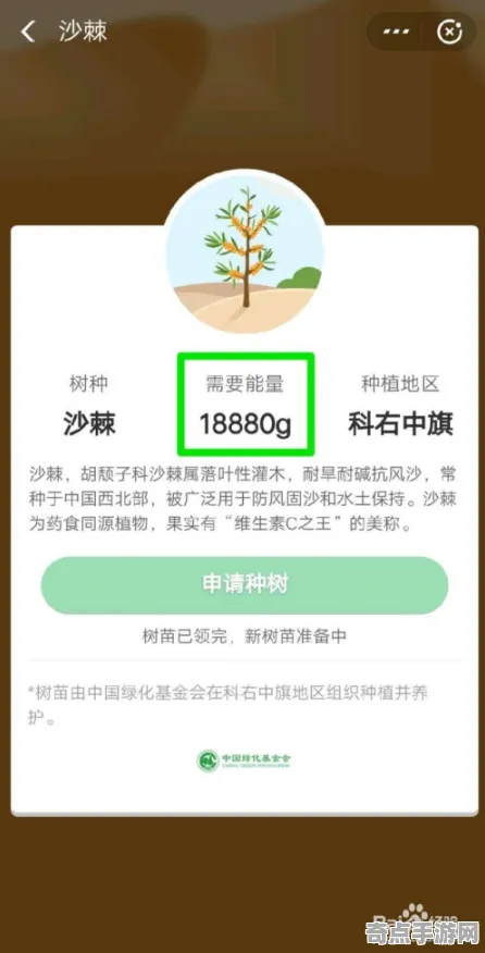 《蚂蚁森林》2025版本更新！赛季机制解读开发者专访