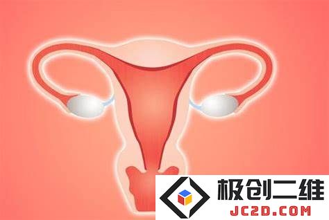 女性在接受癌症治疗时，往往未被充分告知可能出现的性别相关副作用