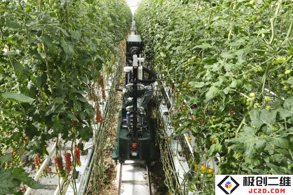 四家农场企业获得900万美元A轮融资，运用人工智能与机器人技术革新温室农业模式