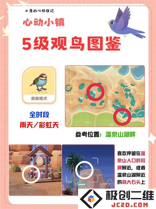 心动小镇五级观鸟详细位置整理一览：鸟类爱好者的天堂与大自然的交响曲