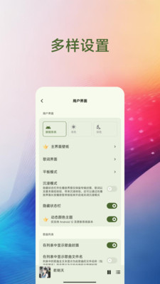 Salt Player最新版下载v10.3.0-beta03-play 安卓版