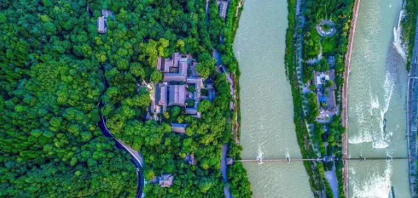 2025发售日确认现场»蚂蚁森林预购特典曝光全解析，优化方案揭秘
