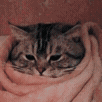 59CE71B322982CF19A3A0928A30F3623.gif