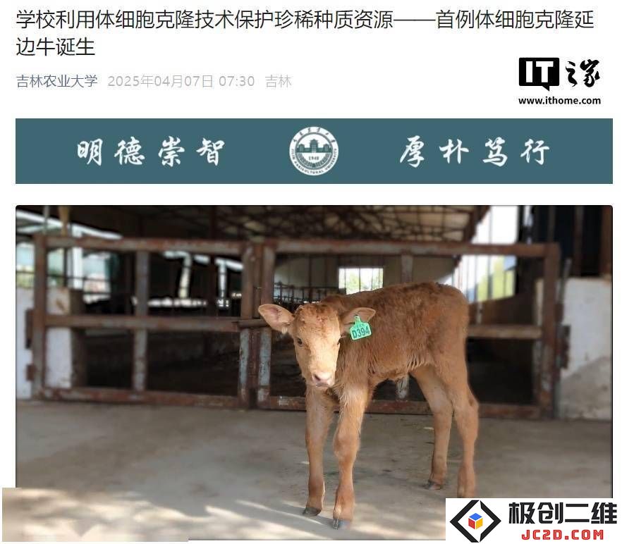 吉林农业大学成功实现延边牛的克隆技术，为濒危畜种的保护带来了新的希望和可能性！