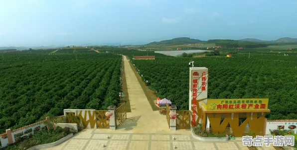 2025发售日确认»使命召唤手游丨预购特典曝光，深度技术解析