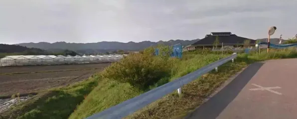 2025全球首发深度追踪»农场小镇文化本地化性能对比评测