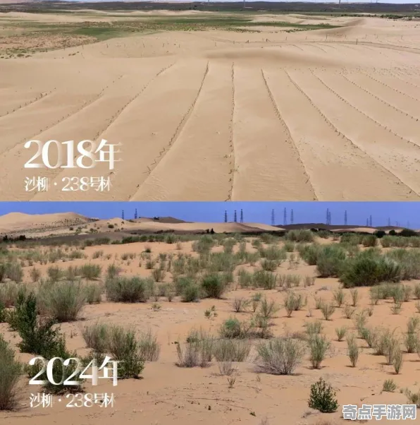 2025GDC现场直击»深入解析蚂蚁森林实时全球光照效果玩家实测反馈报告