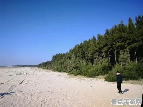 2025发售日确认现场»蚂蚁森林性能优化解析全解析，硬件兼容报告