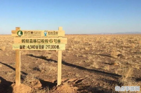 2025发售日确认现场»蚂蚁森林预购特典曝光全解析，开发者专访