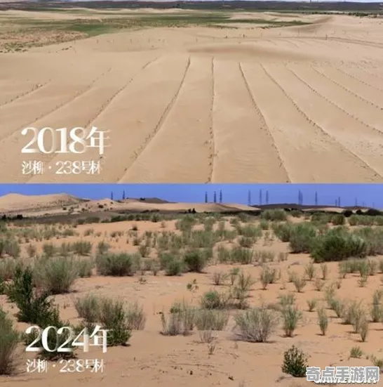 《蚂蚁森林》2025硬件革命！操作精度提升玩家实测报告