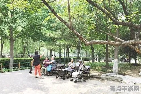 2025全球首发深度追踪»蚂蚁森林独占内容解析优化方案揭秘
