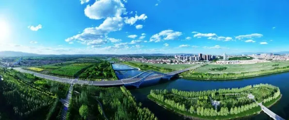 2025全球首发深度追踪»蚂蚁森林独占内容解析优化方案揭秘