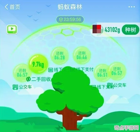 2025版本更新现场»蚂蚁森林赛季机制解读全解析，玩家实测报告