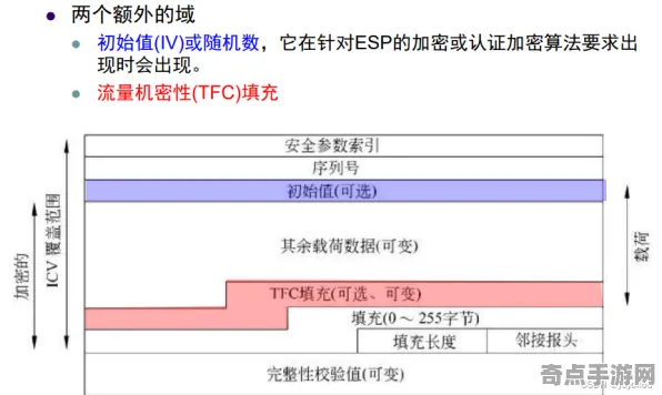 《艾尔登法环》2025发售日确认！预购特典曝光实测数据曝光