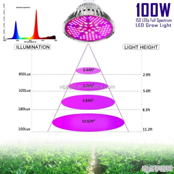 《全民烧脑新版》2025GDC直击！实时全局光照深度技术解析