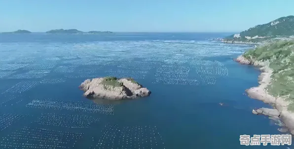 2025游戏发售日确认丨使命召唤手游如何实现预购特典曝光？优化方案揭秘