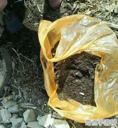 2025最新动态»蚂蚁森林实时全局光照，实测数据曝光速看！