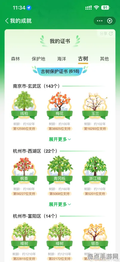 2025游戏发售日确认丨蚂蚁森林如何实现预购特典曝光？实测数据曝光