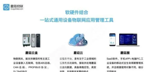 《艾尔登法环》2025发售日确认！独家内容揭秘开发者专访