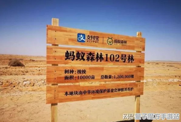 激战一触即发谜题真相浮现