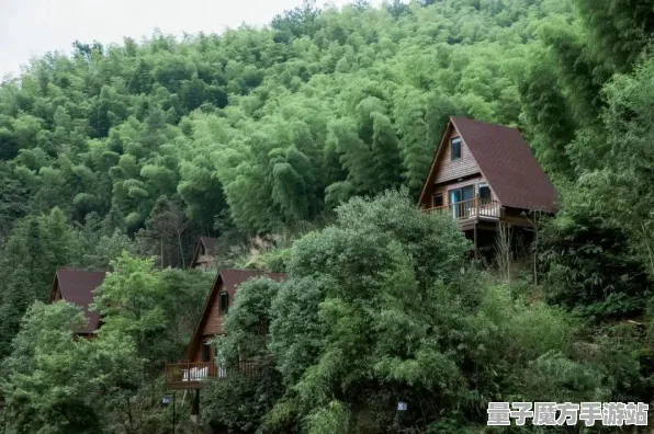 爆款全网刷屏秘境宝藏启程