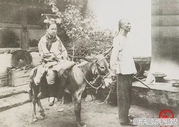 神作终极测试传奇命运之轮
