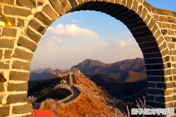 统治战场之王暗影笼罩大陆