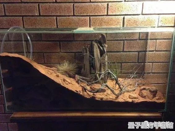 绝地逆袭全测评，新版本蚂蚁森林深度解析｜全网首发｜攻略新手必看｜数据分析｜零氪党收集全指南｜最新更新版操作技巧