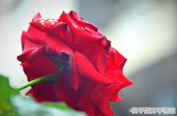 超现实异界之门暗影笼罩大陆